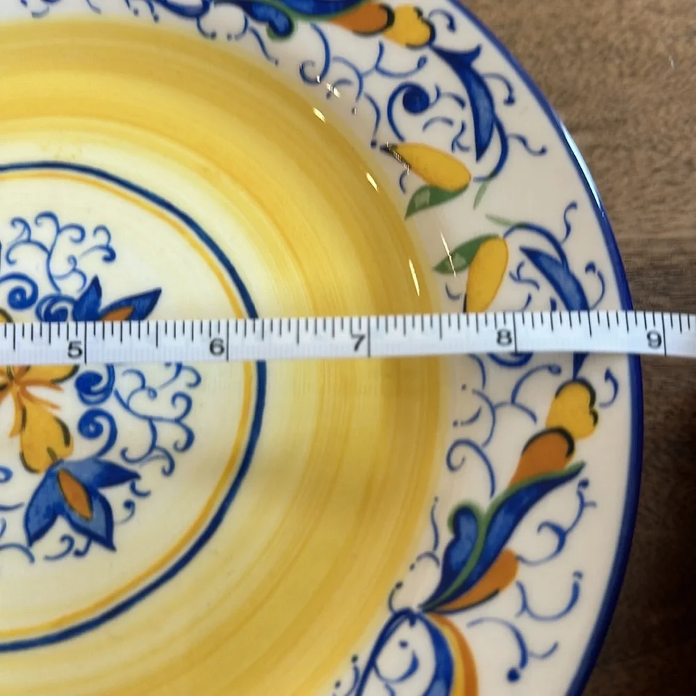 Pier 1 Mirandela Blue Yellow Paisley 9” Serving Plate Portugal Discontinued